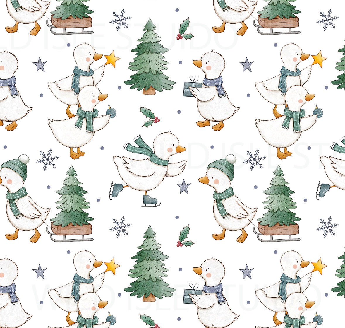Winter Goose