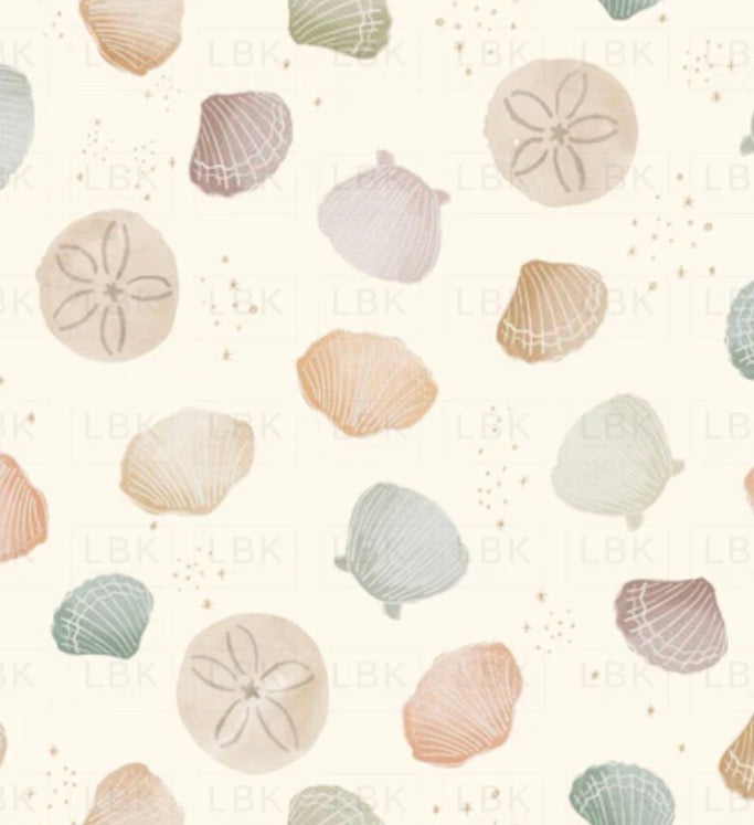 Seashells