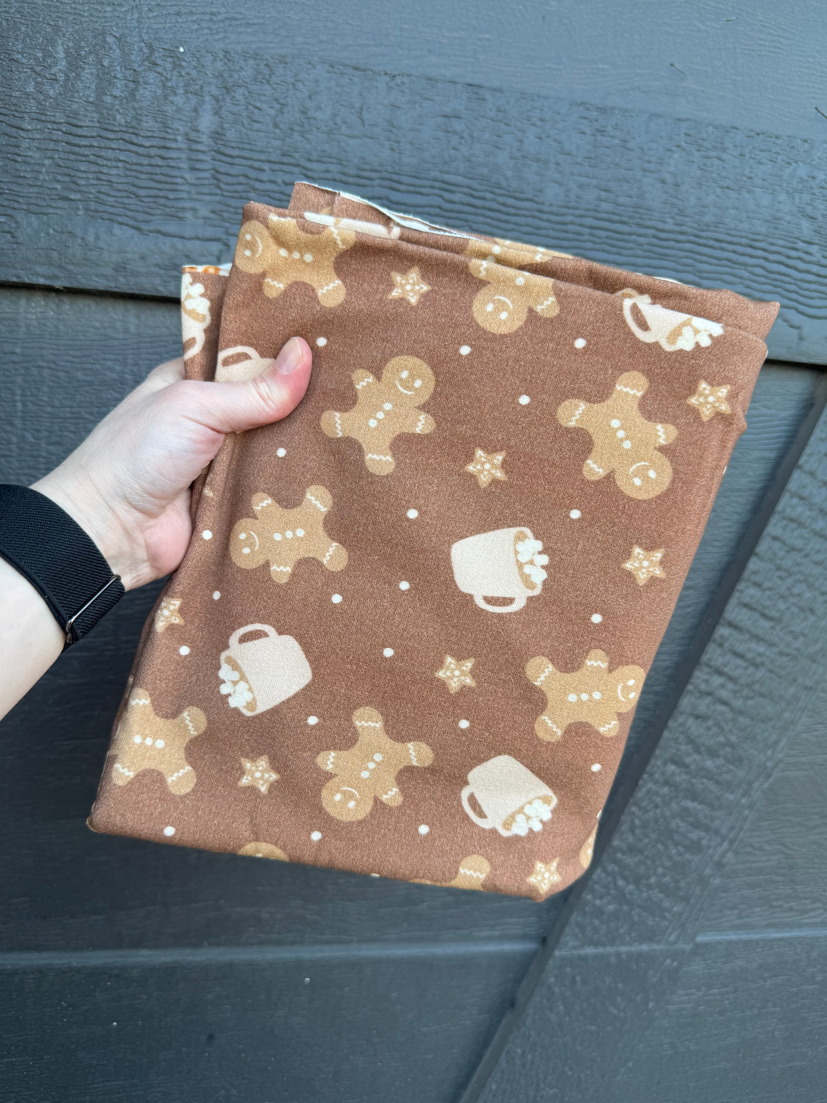 Gingerbread Cocoa