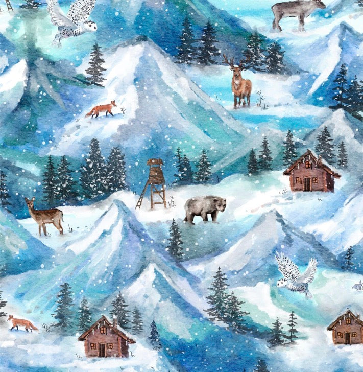 Winter Mountains