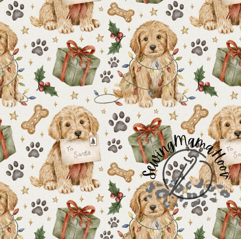 Dear Santa