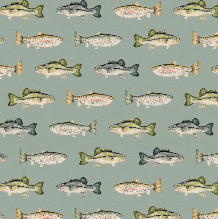 Fish
