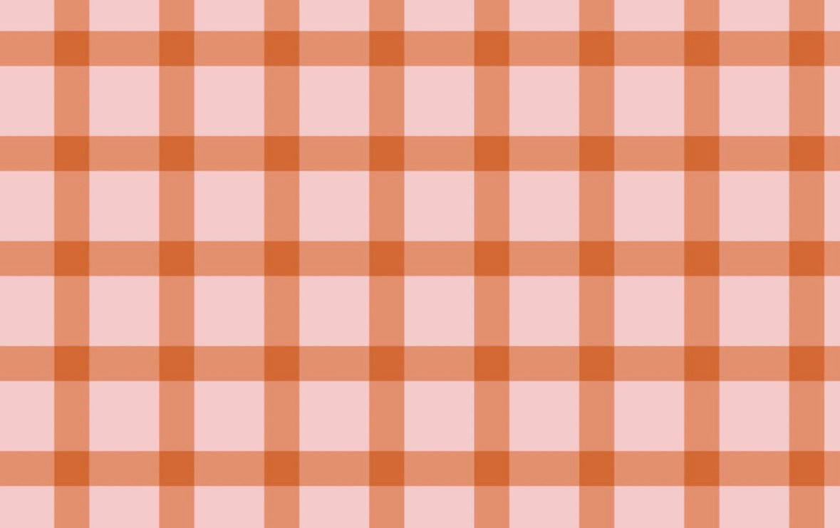 Pink and Rust Gingham