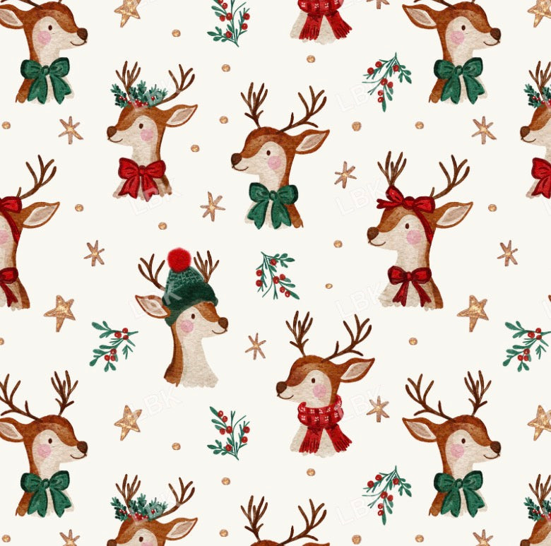 Reindeer Family