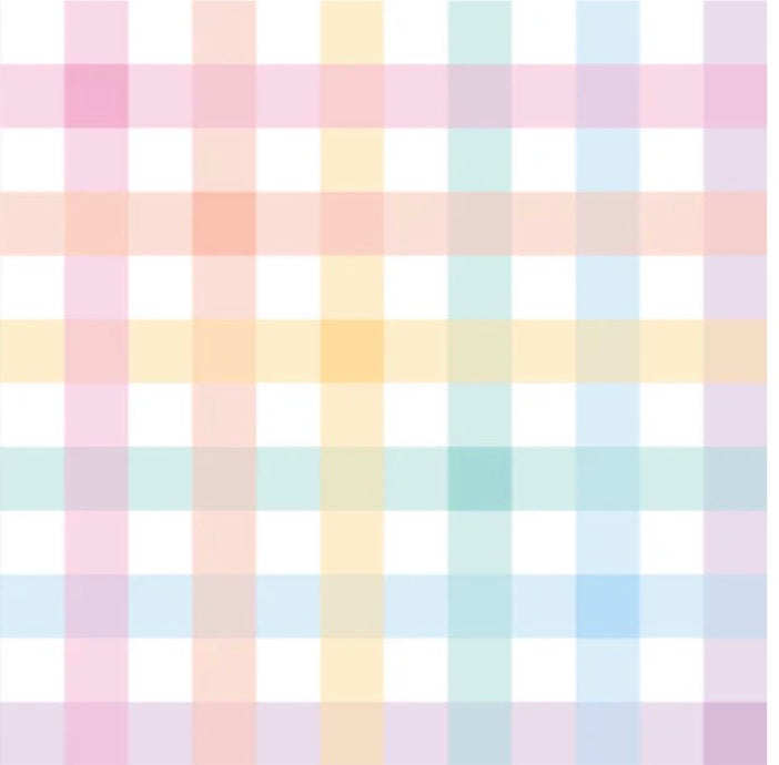 Light Rainbow Gingham