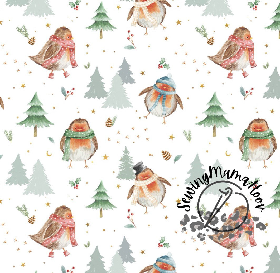 Cute Winter Robbin