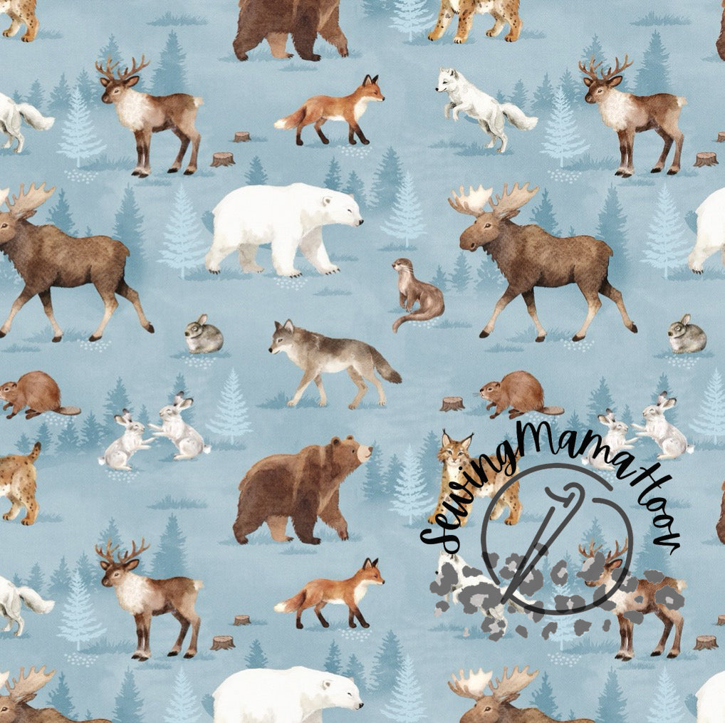 Winter Animals