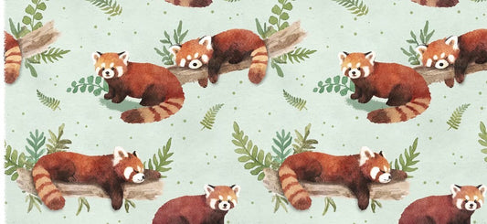 Red Panda