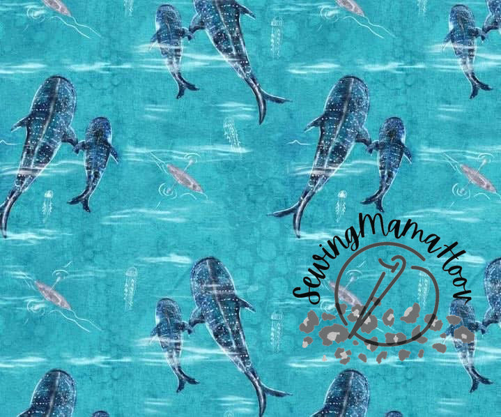 Whale Shark-SMH Exclusive