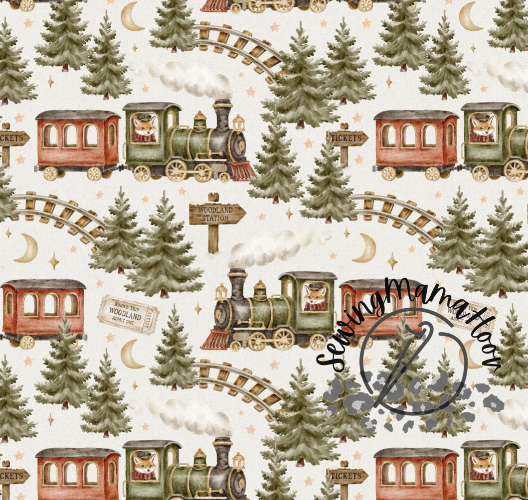 Winter Woodland Train