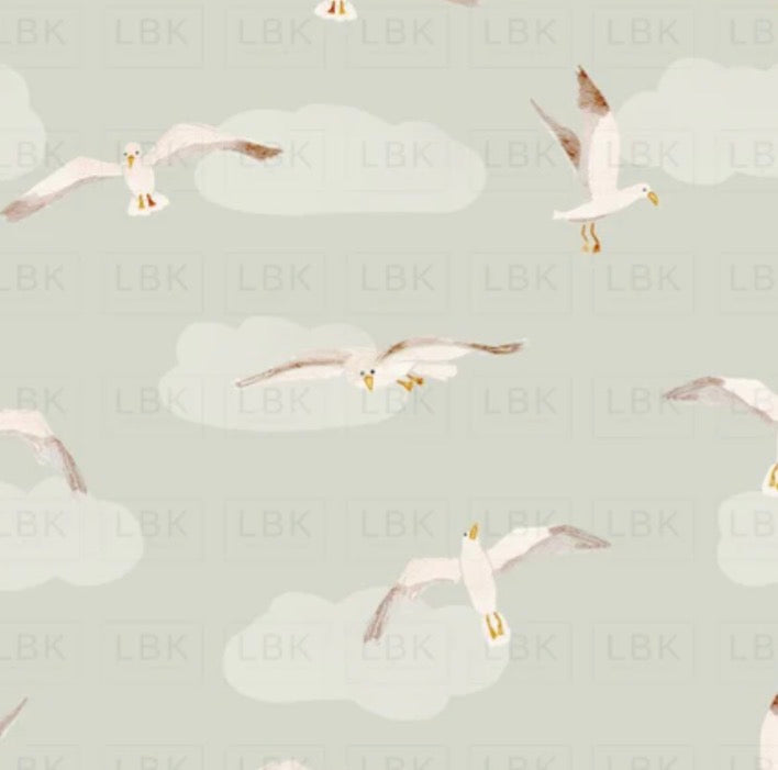 Seagulls