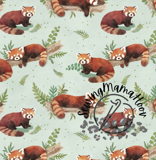 Red Panda