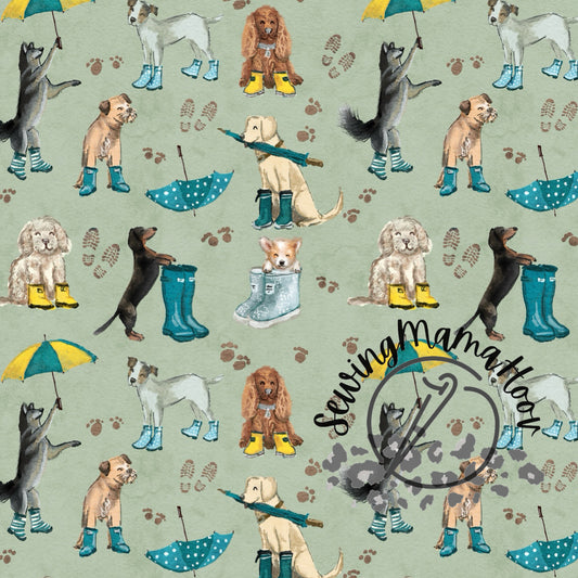 Pups in Rainboots on Sage-SMH Exclusive