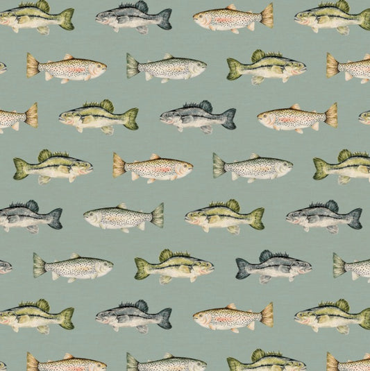 Fish