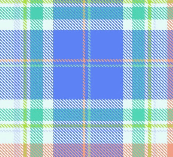 Oh So Pretty Plaid