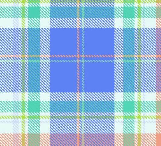 Oh So Pretty Plaid