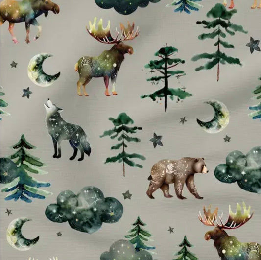 Enchanted Forest