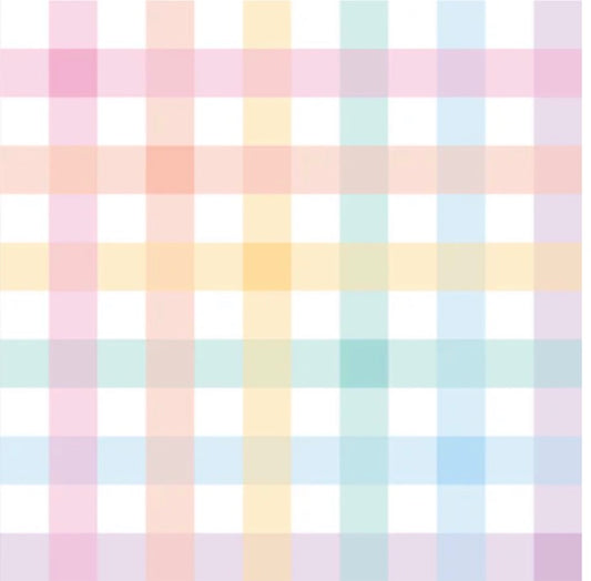 Light Rainbow Gingham