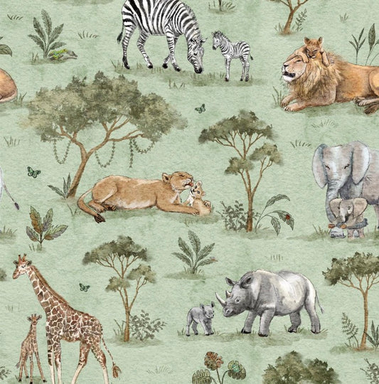 Safari
