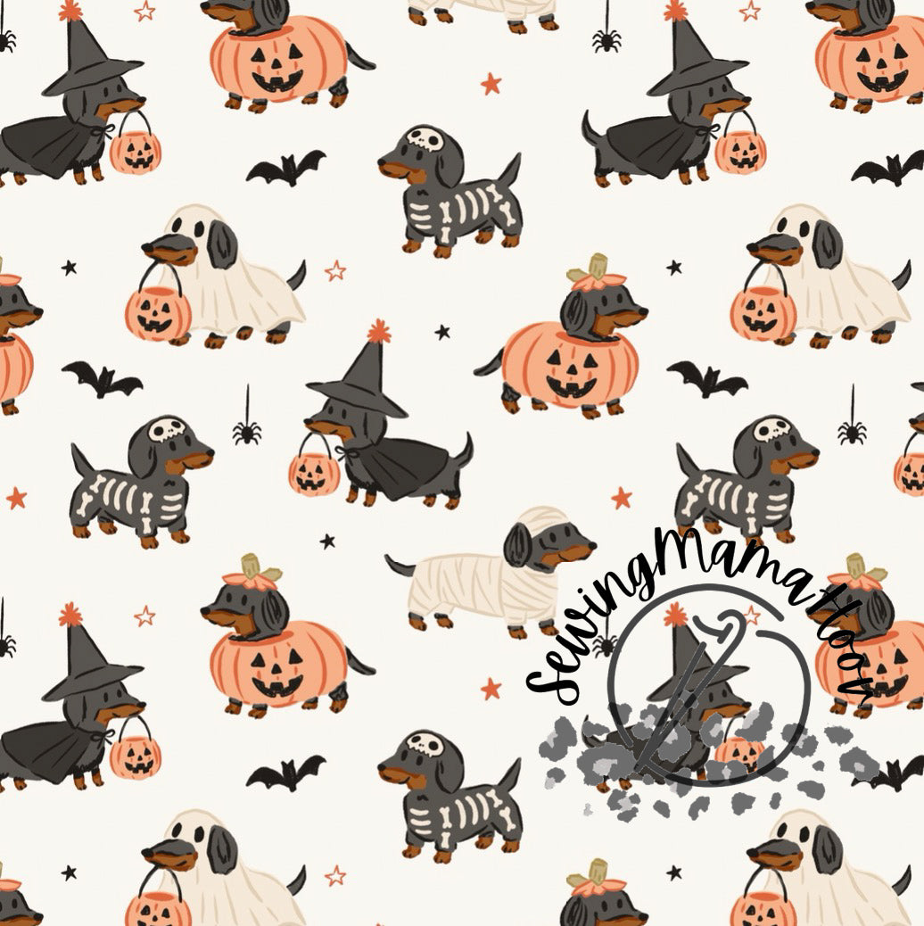 Halloween Dachshund