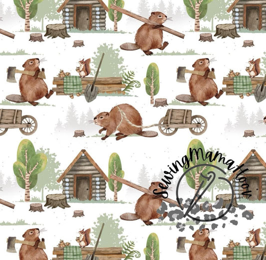 Winter Beavers