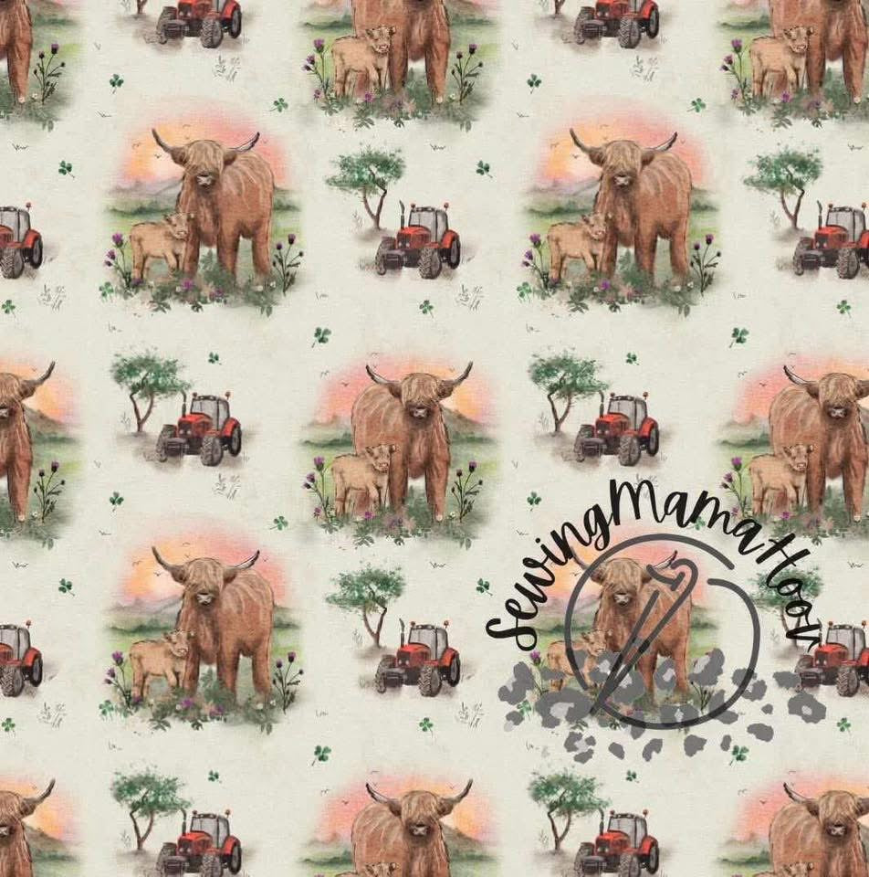 Highland Cows-SMH Exclusive