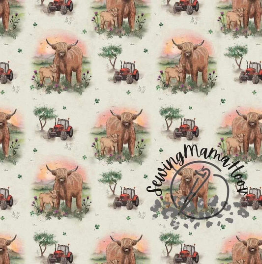 Highland Cows-SMH Exclusive