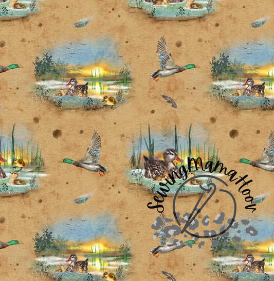 Ducks on Honey-SMH Exclusive