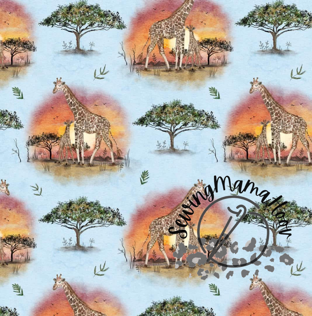 Giraffes-SMH Exclusive